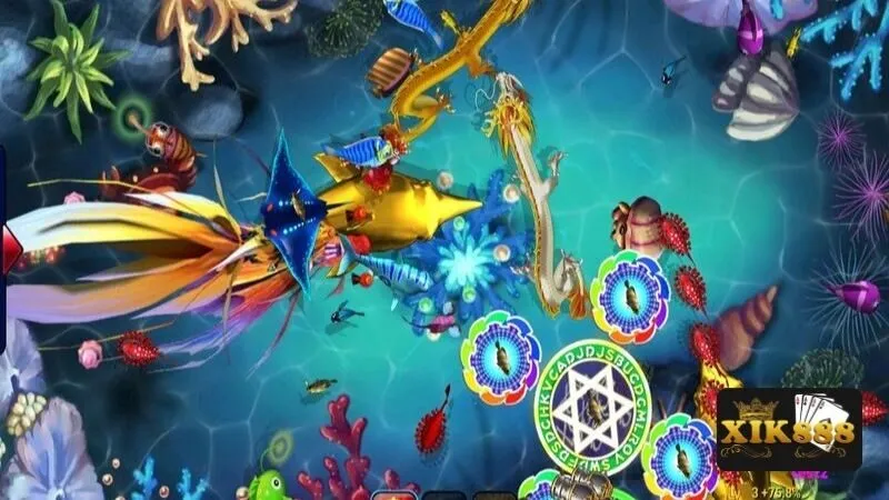 Ưu tiên bắn vào những khu vực đông cá